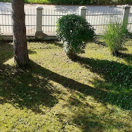 Ferienwohnung Smjestaj Na Selu,Porodica Gvozdenac Sipovo Exterior foto