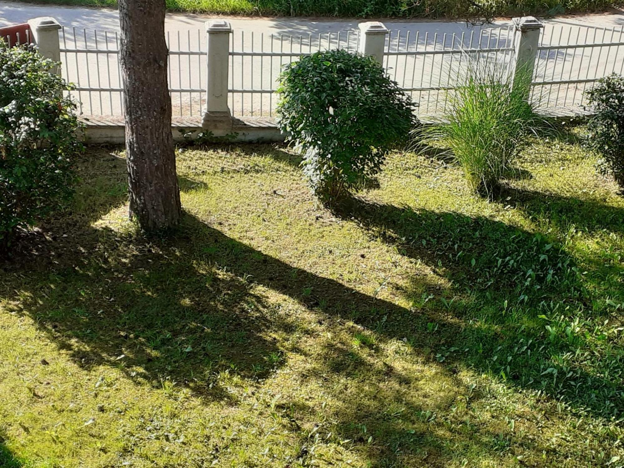 Ferienwohnung Smjestaj Na Selu,Porodica Gvozdenac Sipovo Exterior foto